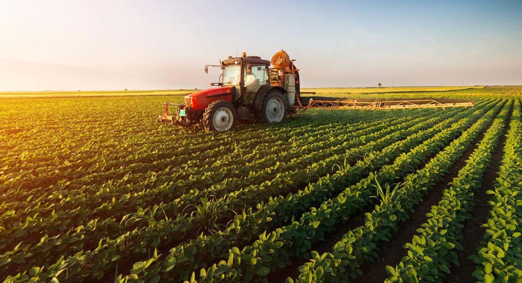 تحذير من أزمة بذور  وأسمدة.. ودعوات الى إنقاذ القطاع